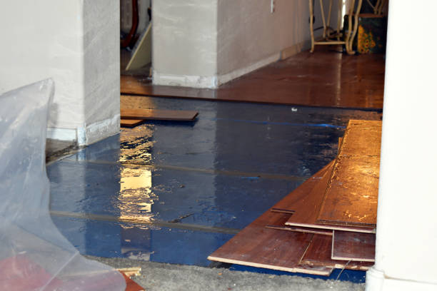 Professional Burst Pipe Cleanup technician working in Hubbard, TX